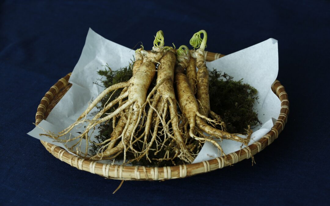 Ginseng