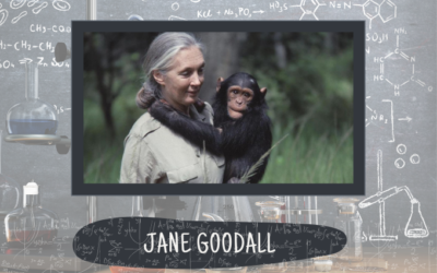 Jane Goodall