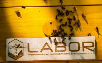 LABOR hive in the apiary