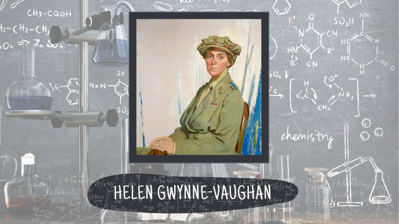 Helen Gwynne-Vaughan