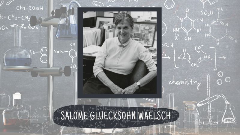 Salome Gluecksohn Waelsch