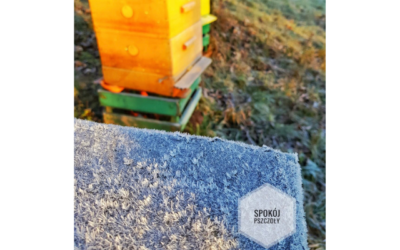 First frost in the bees