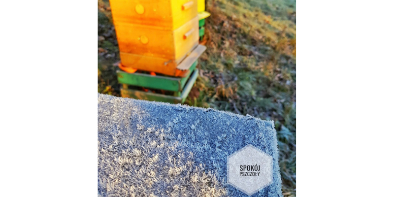First frost in the bees