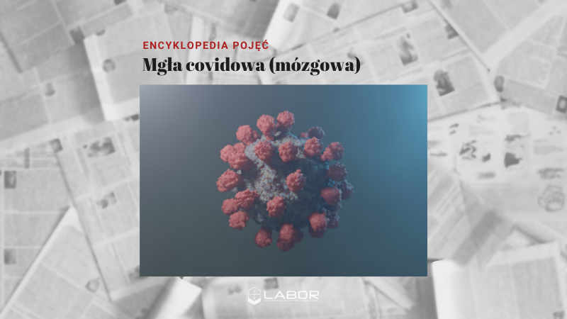 MGŁA COVIDOWA (MÓZGOWA)